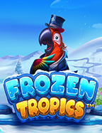 เว็บบาคาร่า โบนัส สุดคุ้ม เล่นง่ายได้จริง